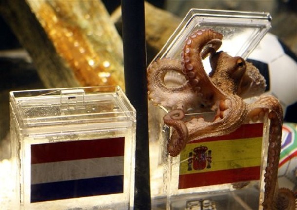 Paul the 'psychic' octopus wins again in World Cup final